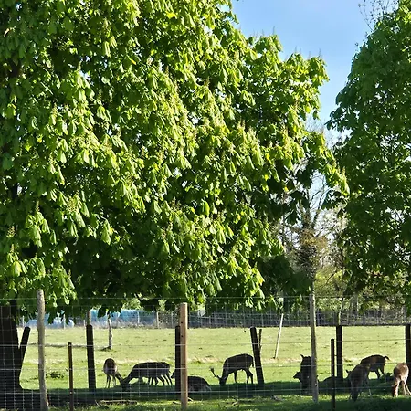 Kleines Schwalbennest * Bad Bodenteich
