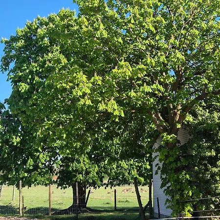 Kleines Schwalbennest 아파트 바트보덴타이흐